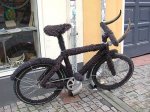 bicycle-buffalo.jpg