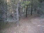DSCN4134.jpg