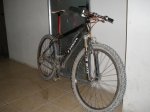 BICI.jpg