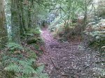 Los caminos sin rodar todavÃ­a.jpg