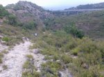 Imagen033.jpg