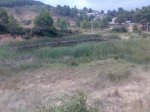 Imagen040.jpg