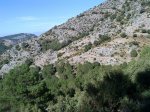 DSC00080.jpg
