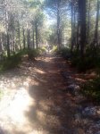 DSC00091.jpg