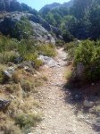 DSC00094.jpg