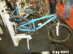 3886892586_88977c4a08_b[1].jpg