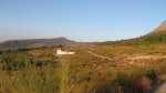 cabrera 001_800x449.jpg