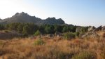cabrera 004_800x449.jpg