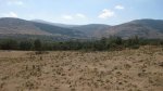 cabrera 009_800x449.jpg