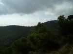 P9050024.jpg