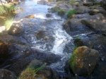 Foto22.JPG