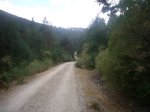 Foto29.JPG