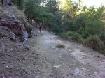 DSC00009.JPG