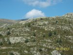 100_1281.jpg