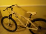 extreme motor show y orbea pellejo 040.jpg