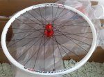 rueda taversec1.jpg