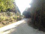 05092009817.jpg