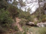 DSCF5814.JPG