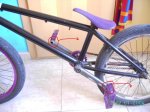 PICT0663.jpg