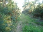 DSC04153.jpg