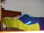 DSC06401.jpg