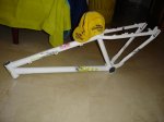 DSC06405.jpg