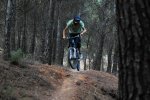 DSC_0981peke.JPG