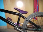 PICT0669.jpg
