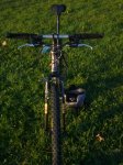 3 Felt frontal_768x1024.JPG