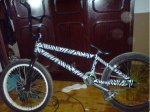 bici facu.JPG