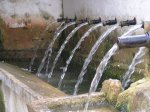 P9069910_resize.JPG