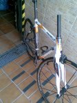 canoas 019.jpg