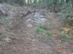 DSC02480.jpg