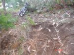 DSC02482.jpg