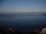 DSC02496.jpg