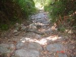 DSC02498.jpg