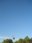 P9050063 (Medium).JPG