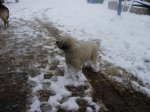 DSCN0711.JPG