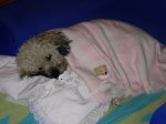 DSCN0714.JPG