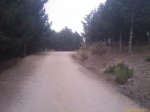200909061041_218.jpg