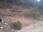 200909061043_222.jpg