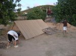 DSC00768.jpg