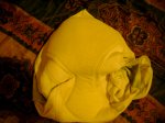 PHTO0607.JPG