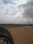 IMG_7542.JPG