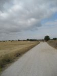 IMG_7548.JPG