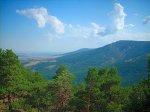 DSCN0195.jpg