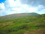 DSCN0205.jpg