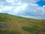 DSCN0206.jpg