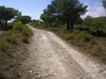 SANY0059.jpg