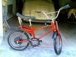 PANTER BMX.jpg